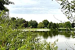 Blick über den Uferbewuchs des Baggersees in Richtung des anderen Ufers. Dort befindet sich eine große Liegewiese und ein Spielplatz.